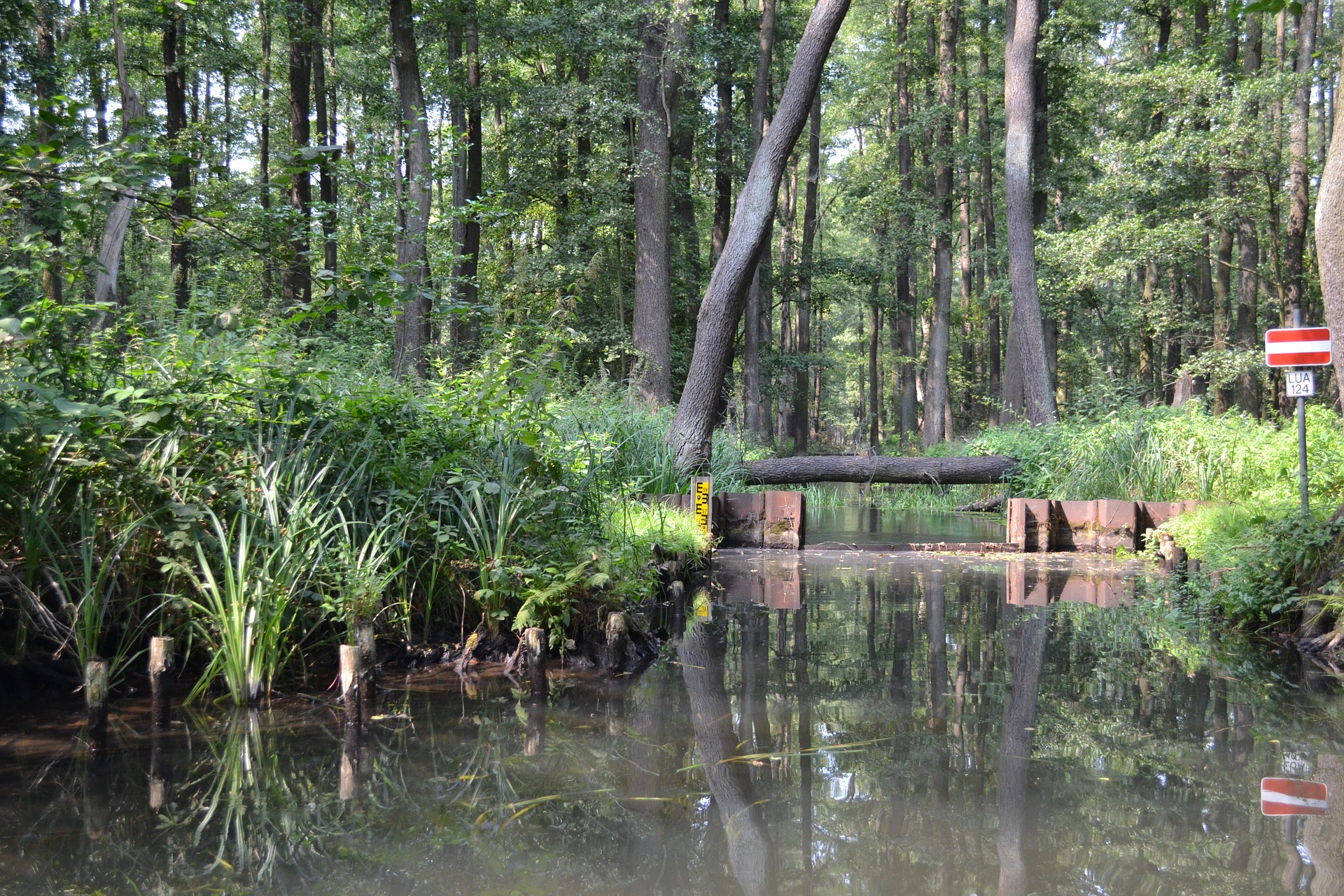 Der Spreewald. Das letzte Idyll der Lausitz? (Quelle: Pixabay)
